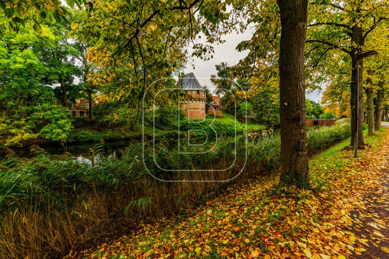 KRUITTOREN_DRAAFSINGEL_HERFST