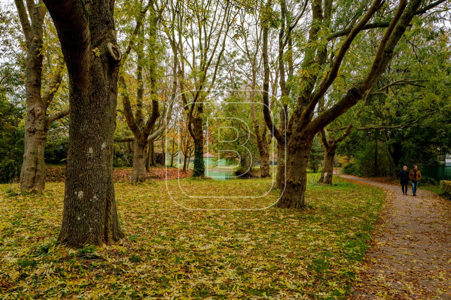 landschap_julianapark_liggend