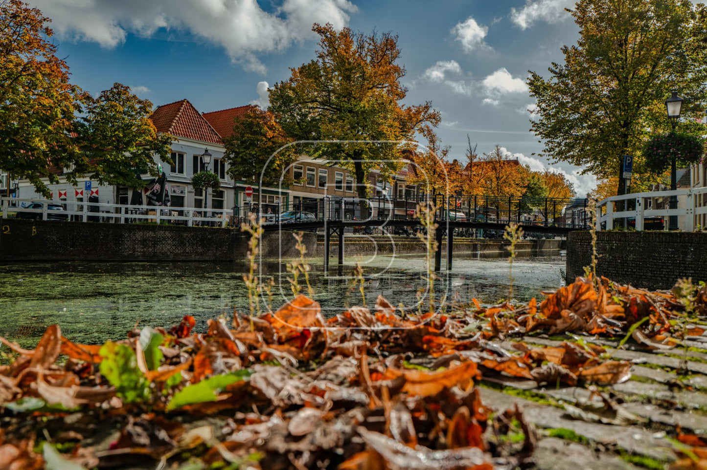 NIEUWLAND_KIPPEBRUGGETJE