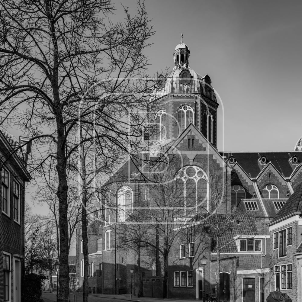 overzicht