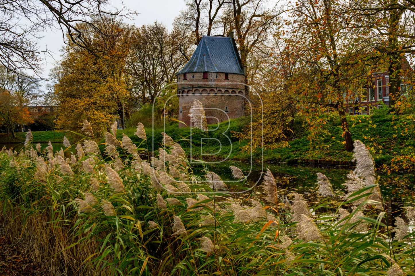KRUITTOREN_DRAAFSINGEL_HERFST