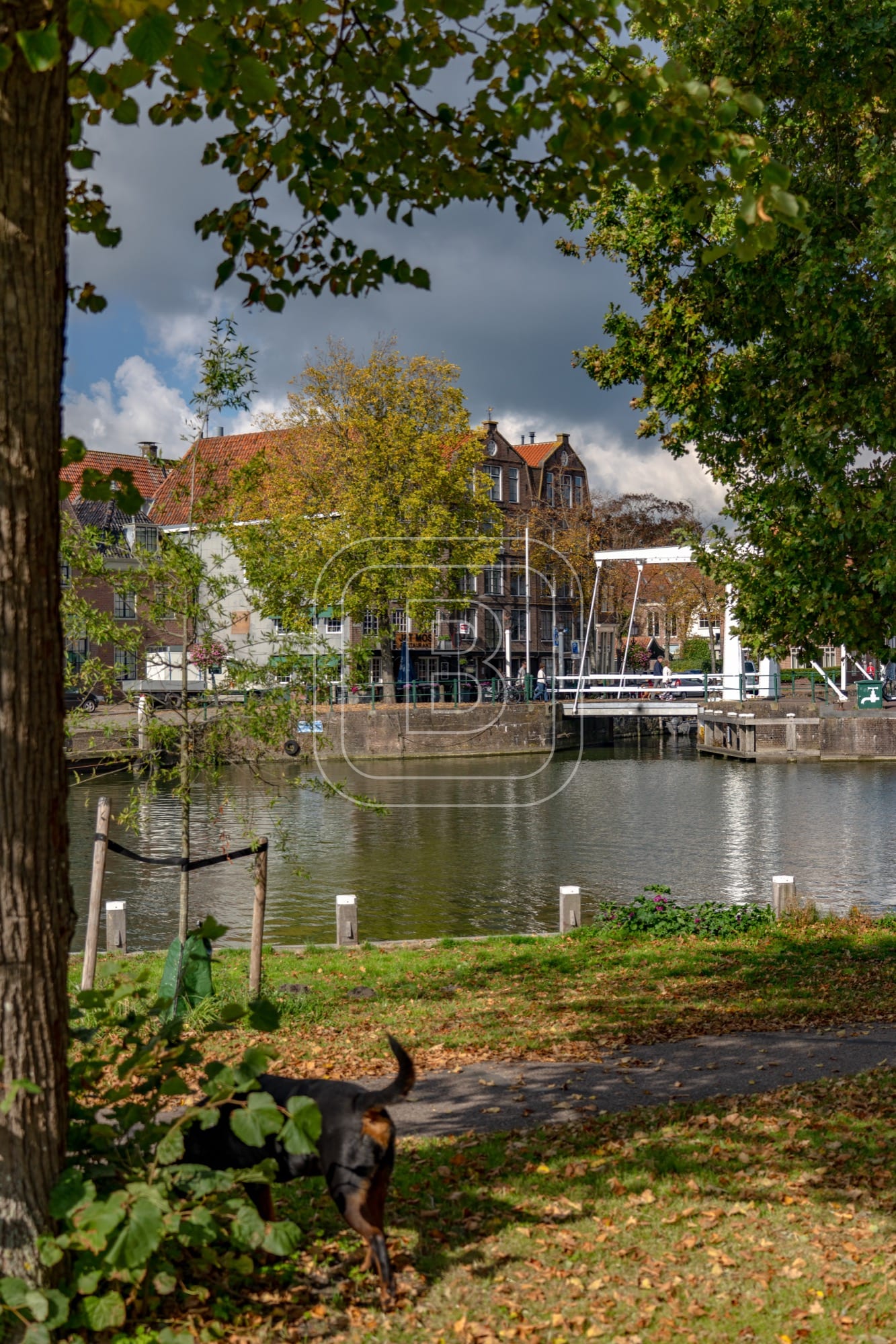 HAVENBEELD_BINNENHAVEN