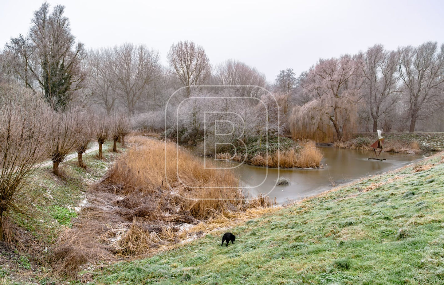 LANDSCHAP_JULIANAPARK