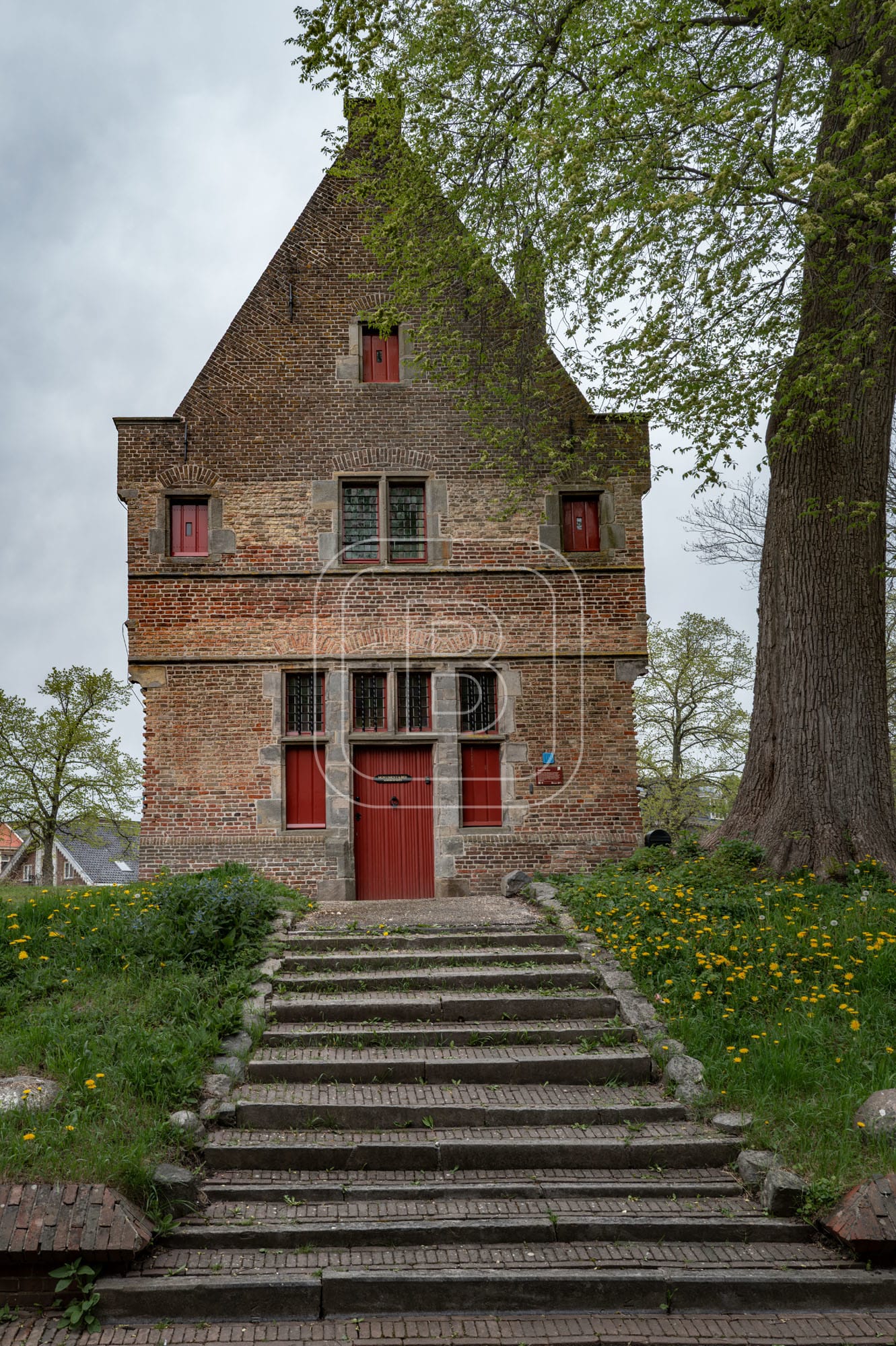 KRUITTOREN_DRAAFSINGEL_LENTE
