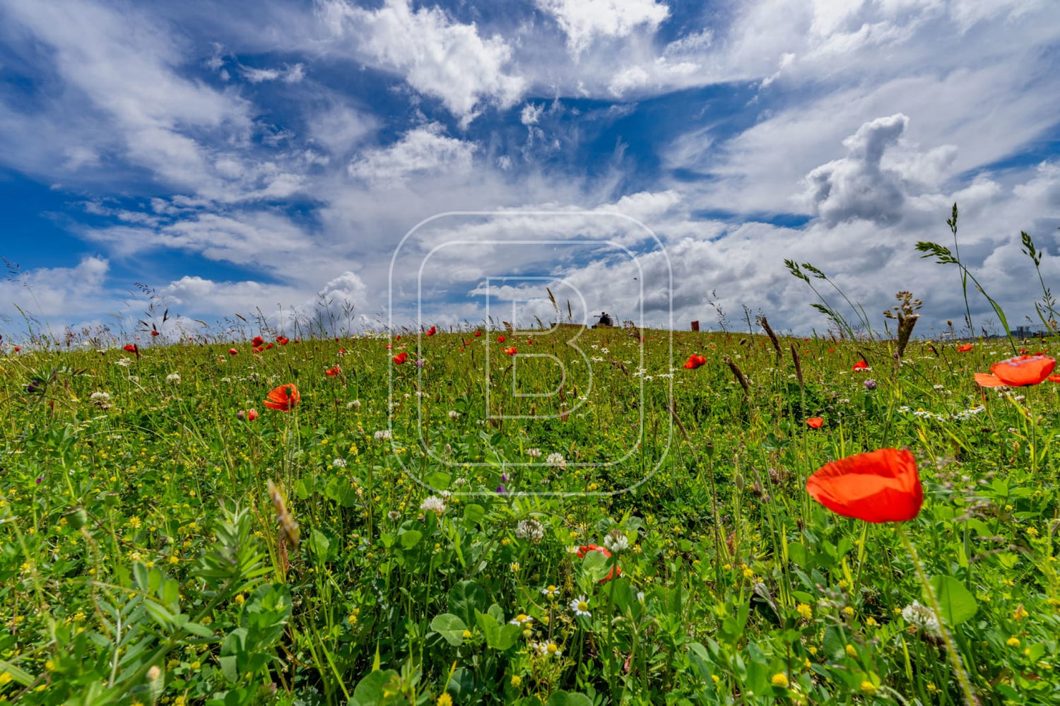LANDSCHAP_STADSSTRAND