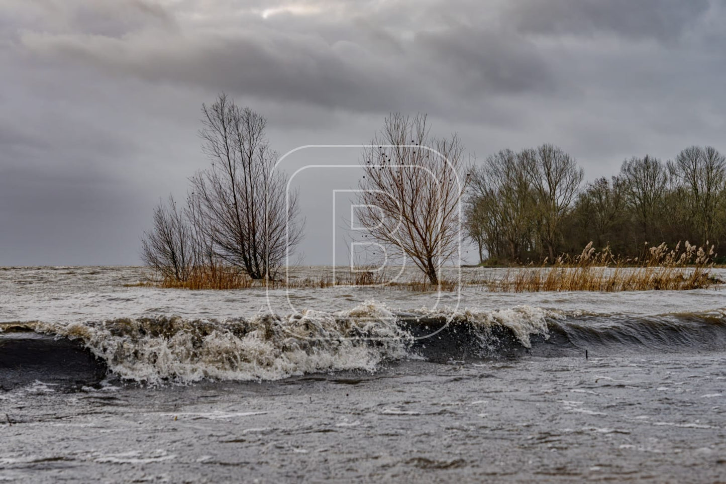 landschap_onstuimig_julianapark_liggend