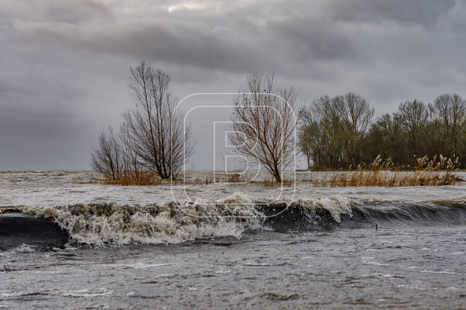 landschap_onstuimig_julianapark_liggend