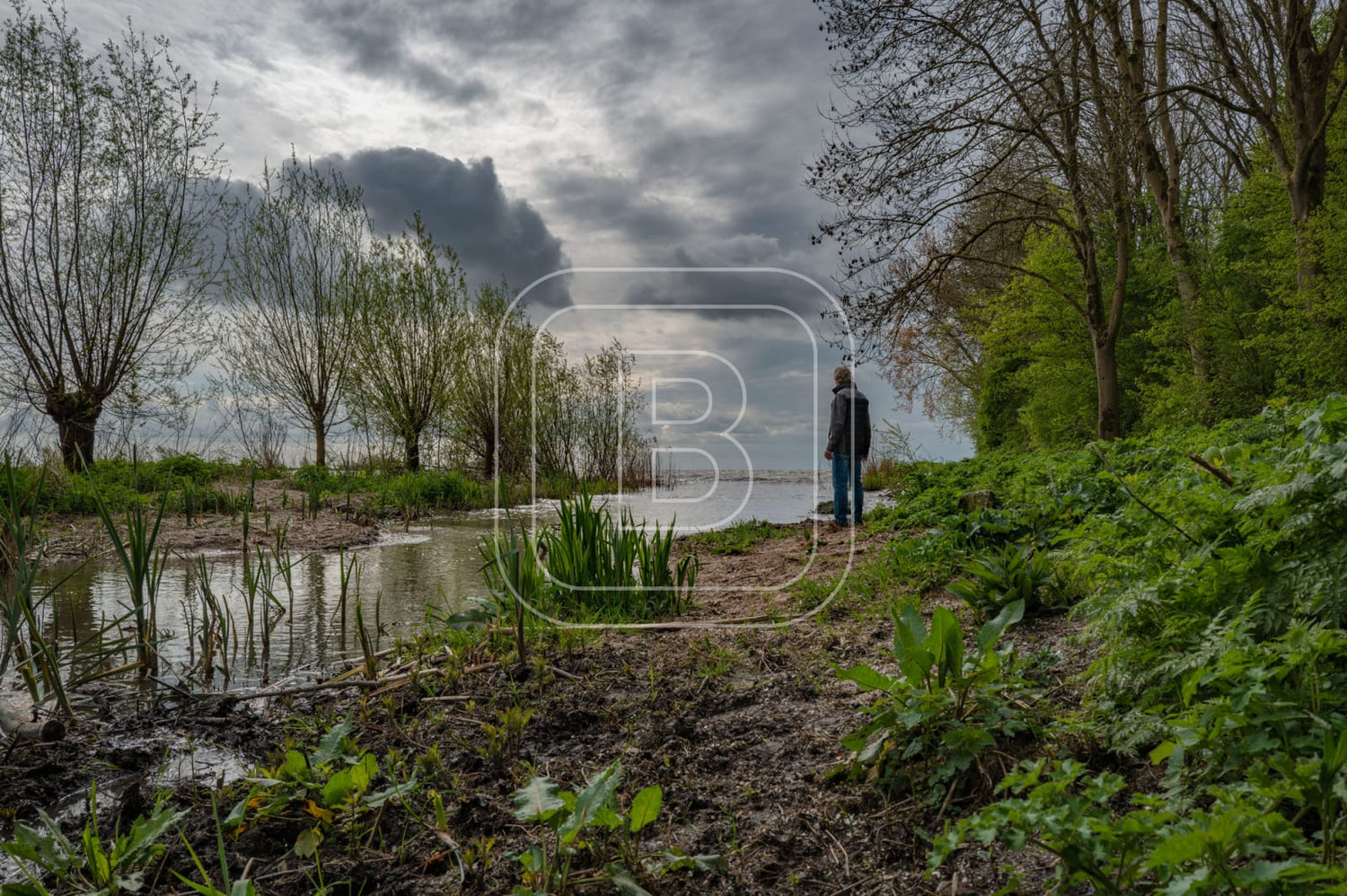 LANDSCHAP_JULIANAPARK