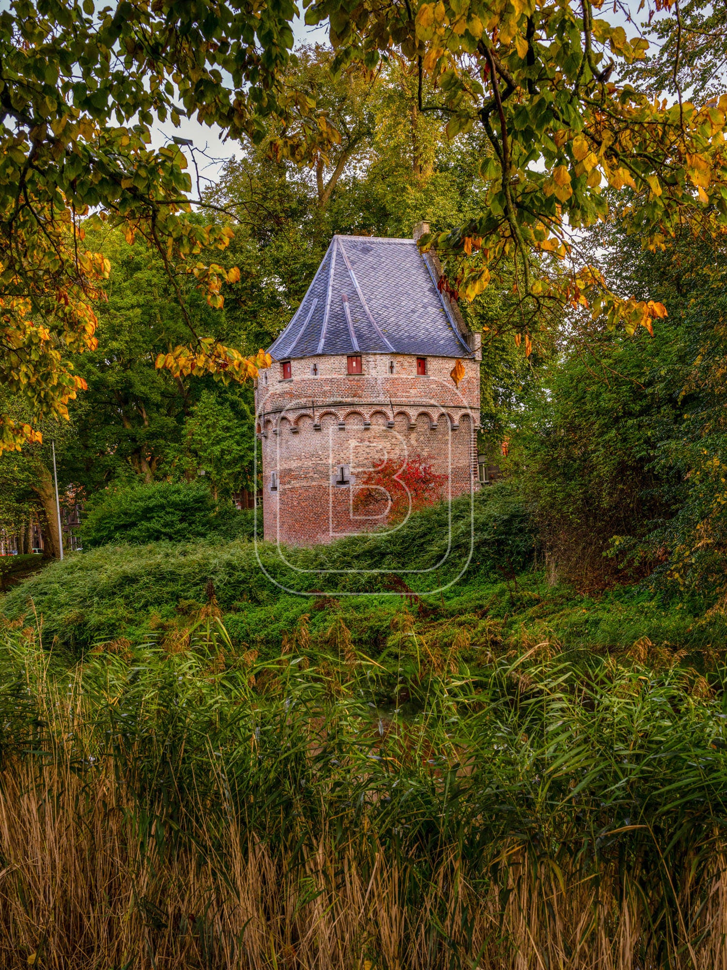 KRUITTOREN_DRAAFSINGEL_HERFST