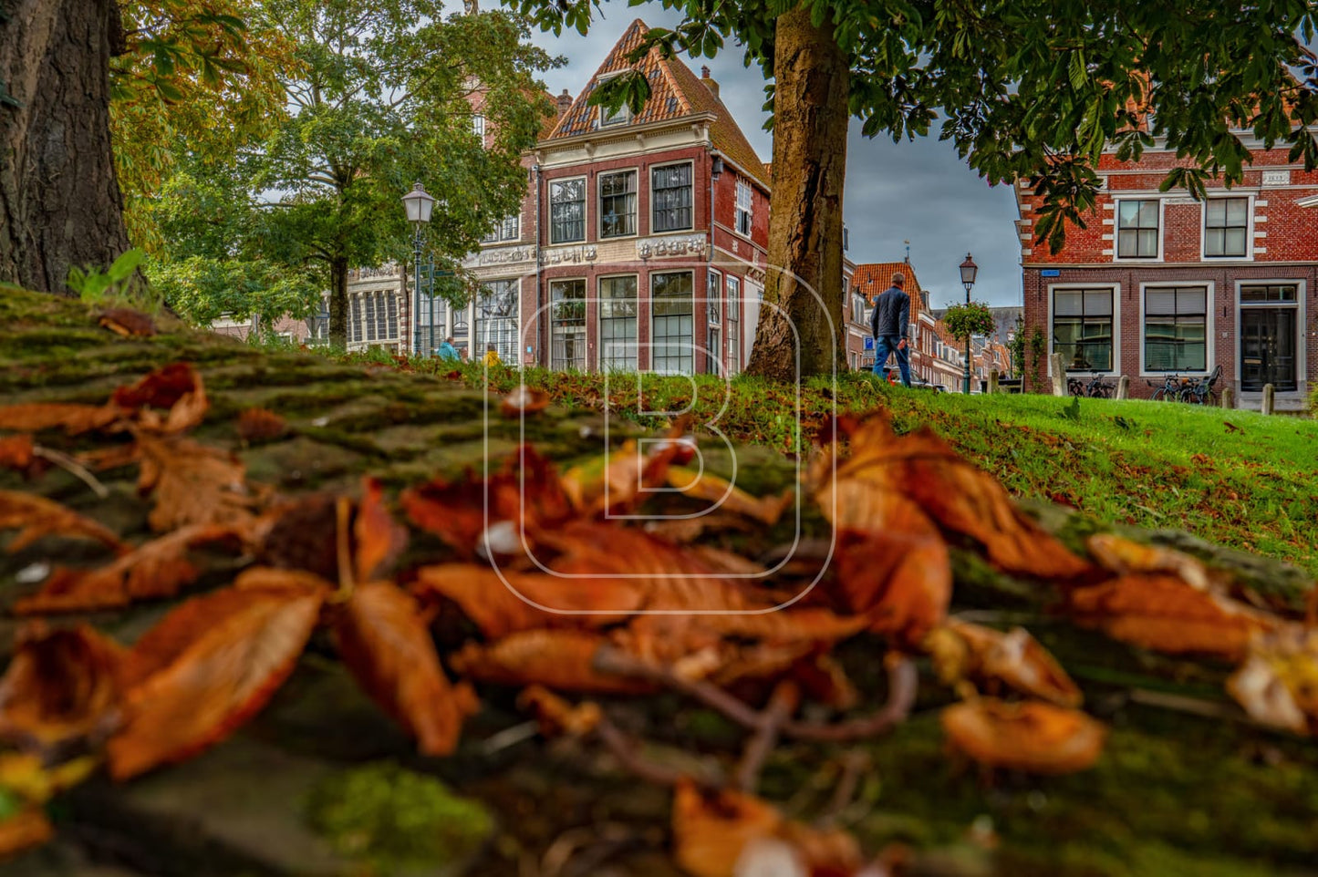 GROTE_OOST_BOSSUHUIZEN