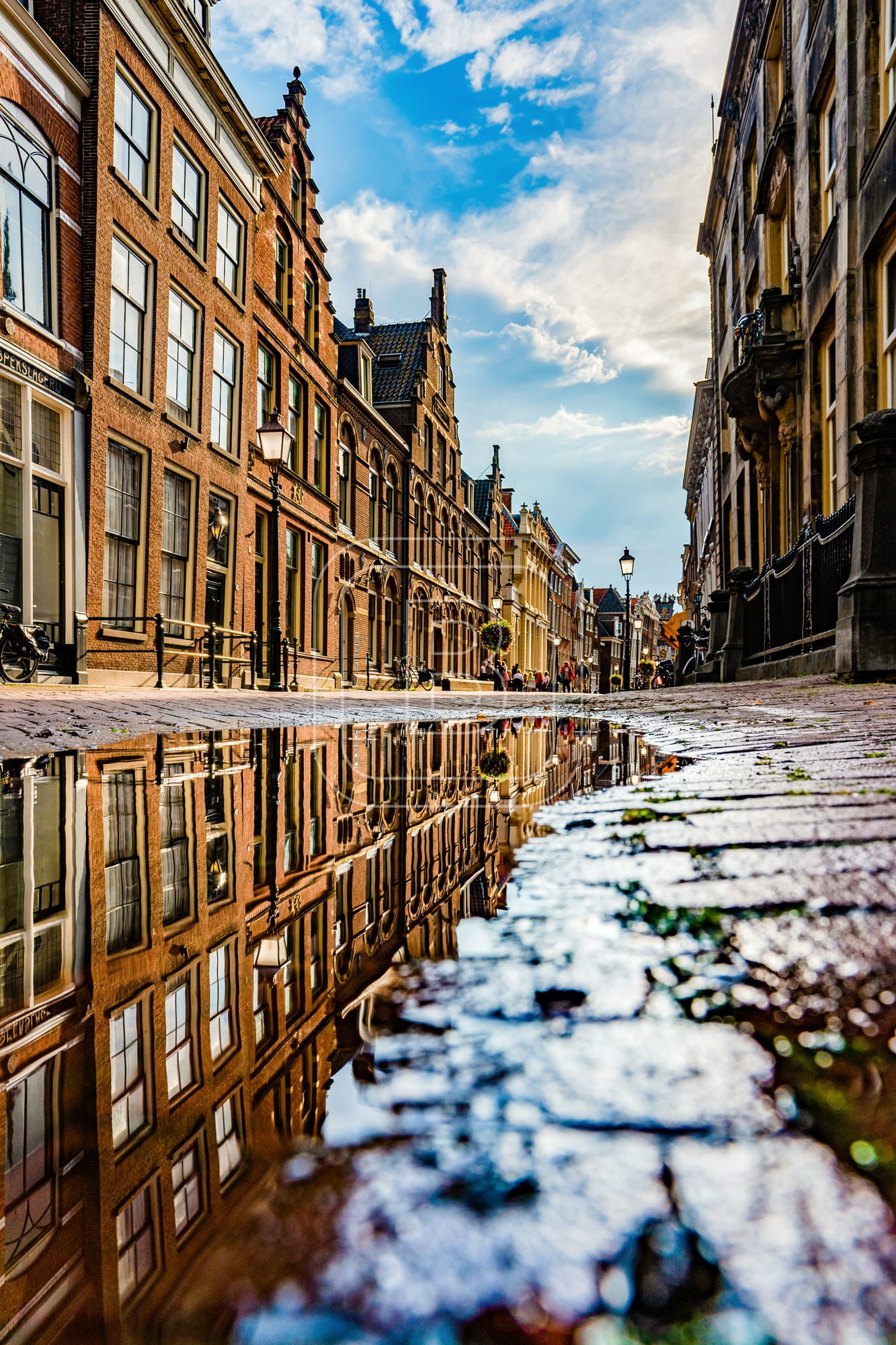 GROTE_OOST