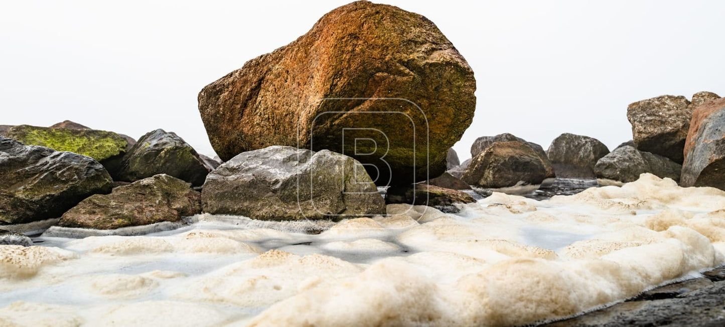 NOORSE_KEIEN_KUST