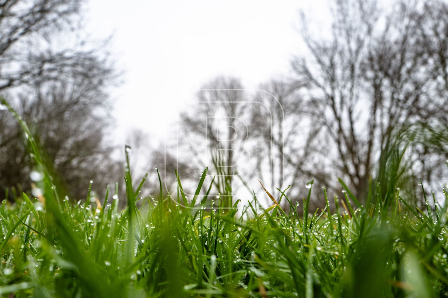 LANDSCHAP_JULIANAPARK