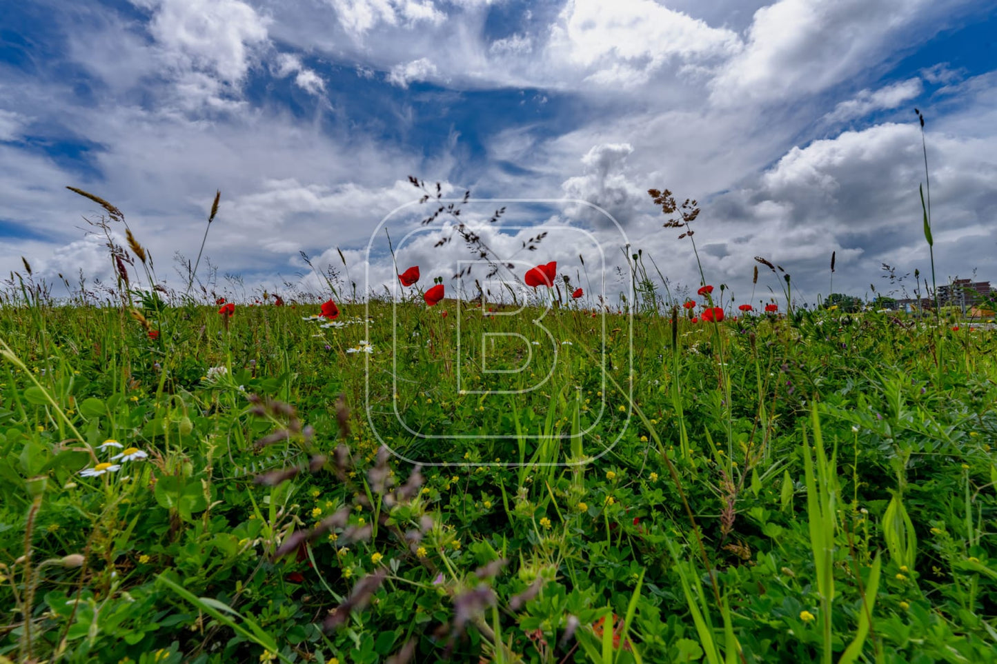 LANDSCHAP_STADSSTRAND