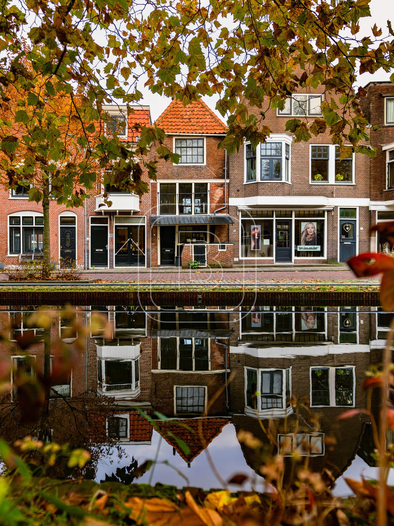ONDER_DE_BOOMPJES