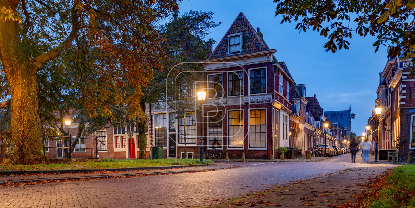 GROTE_OOST_BOSSUHUIZEN