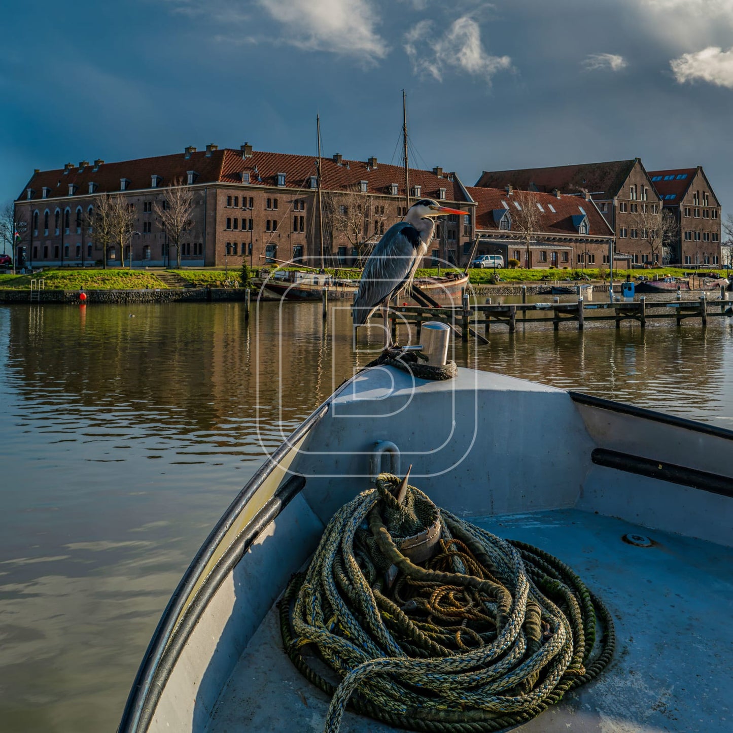 OOSTEREILAND_WINTER_REIGER