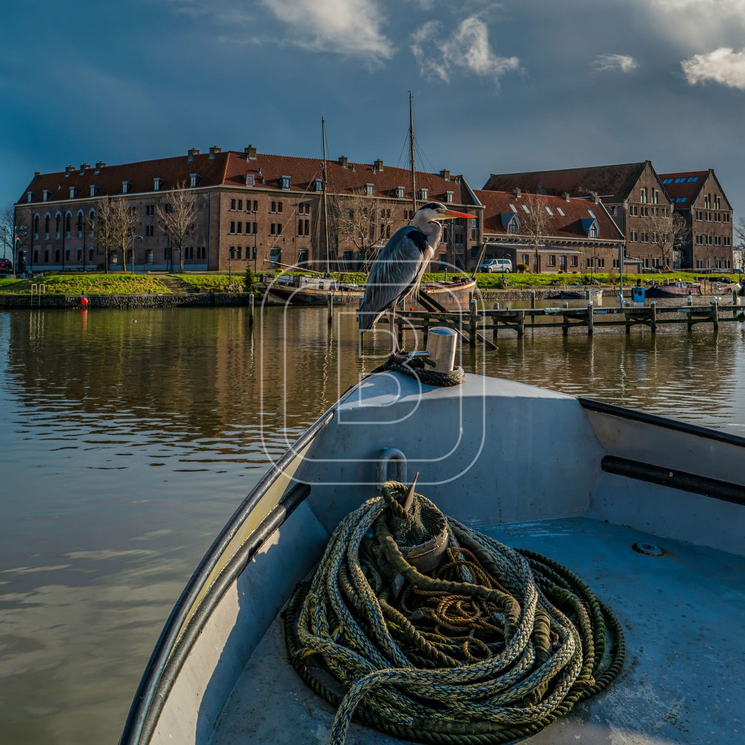 OOSTEREILAND_WINTER_REIGER