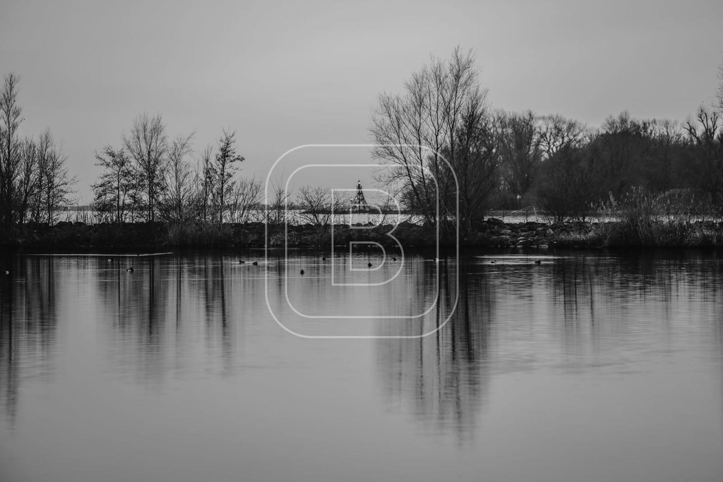 LANDSCHAP_JULIANAPARK