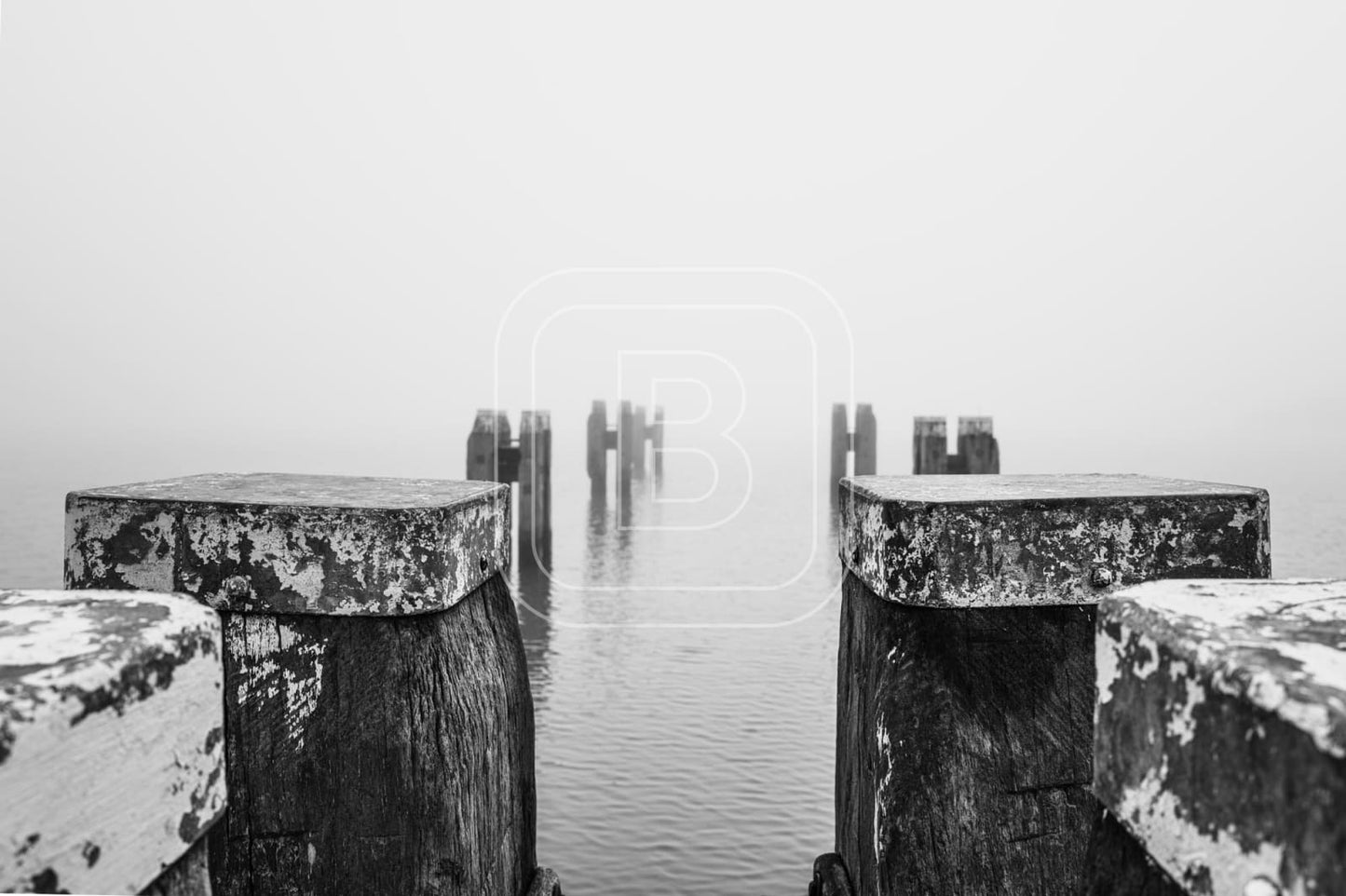 STILLEVEN_KUST