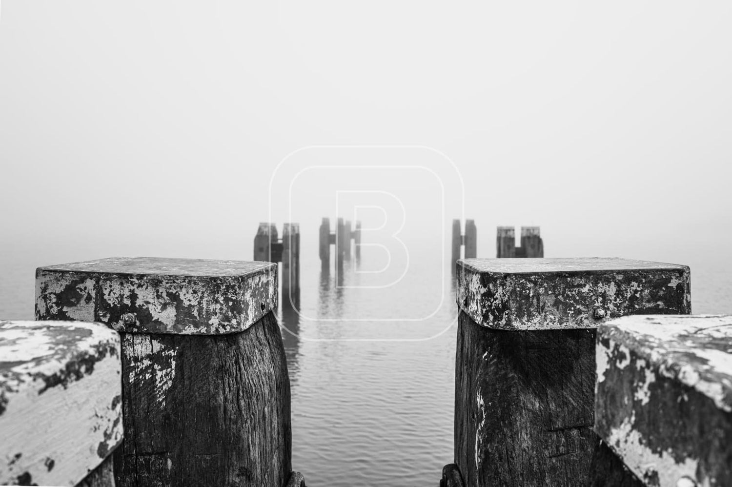 STILLEVEN_KUST