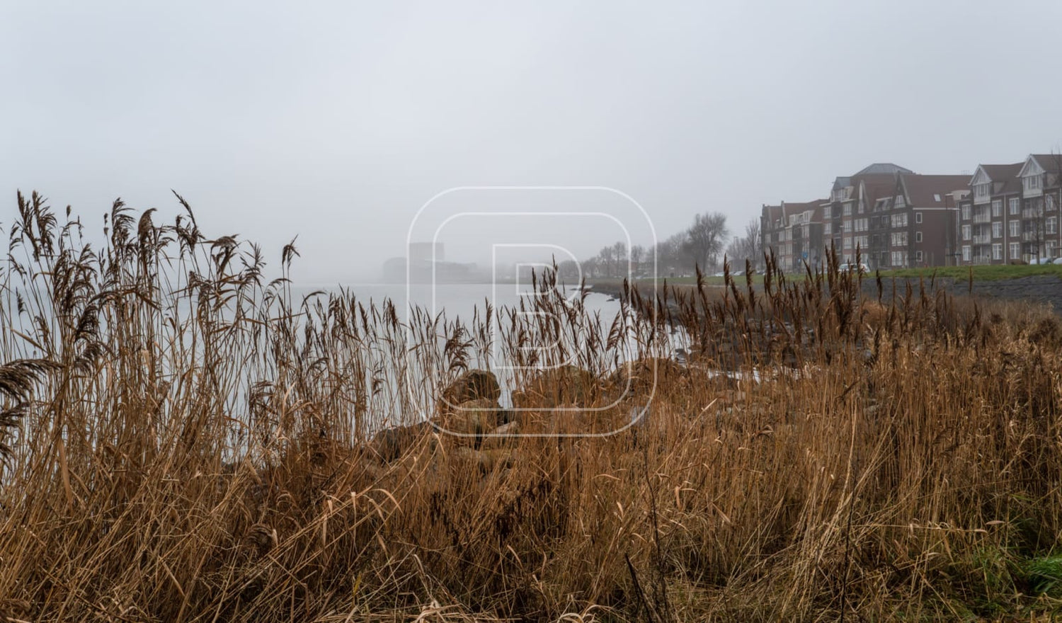 landschap_westerdij_liggend