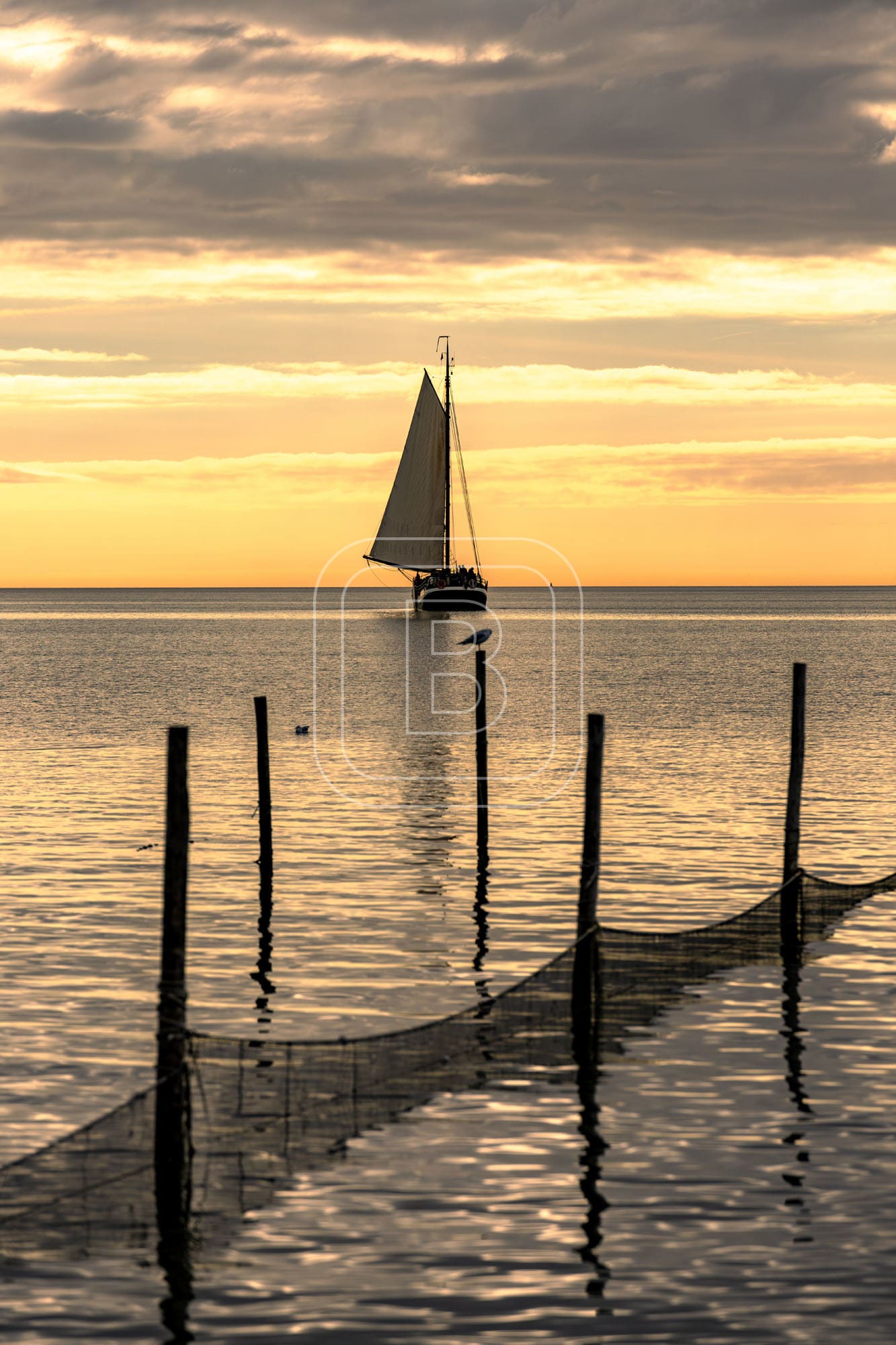 STILLEVEN_KUST