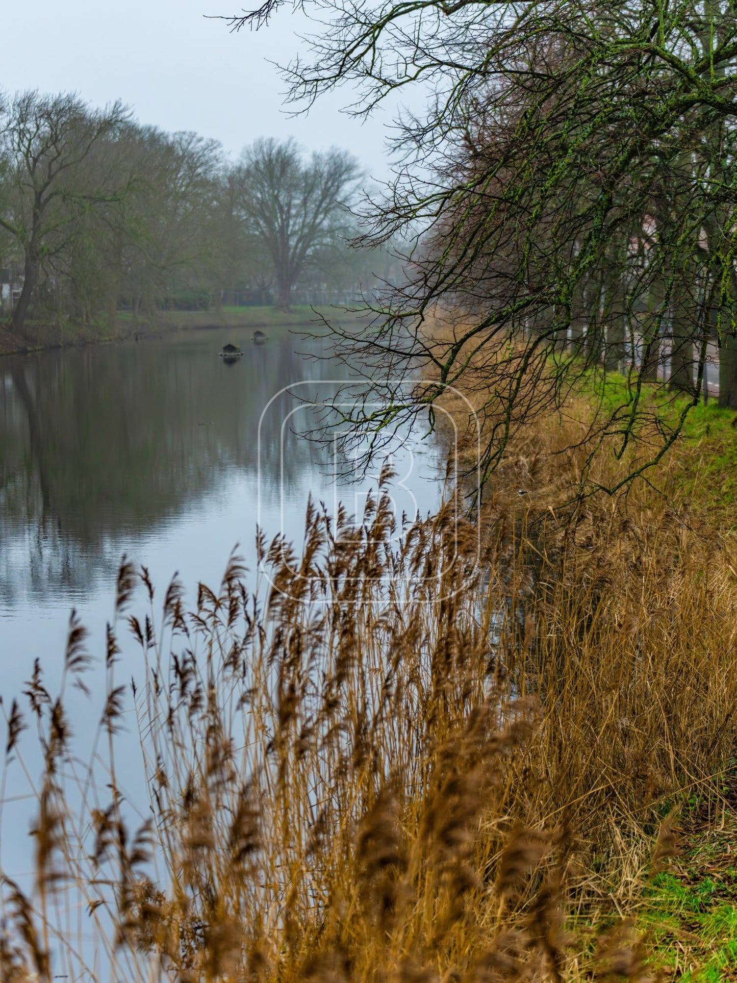 landschap_draafsingel_staand
