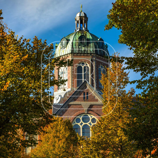 overzicht
