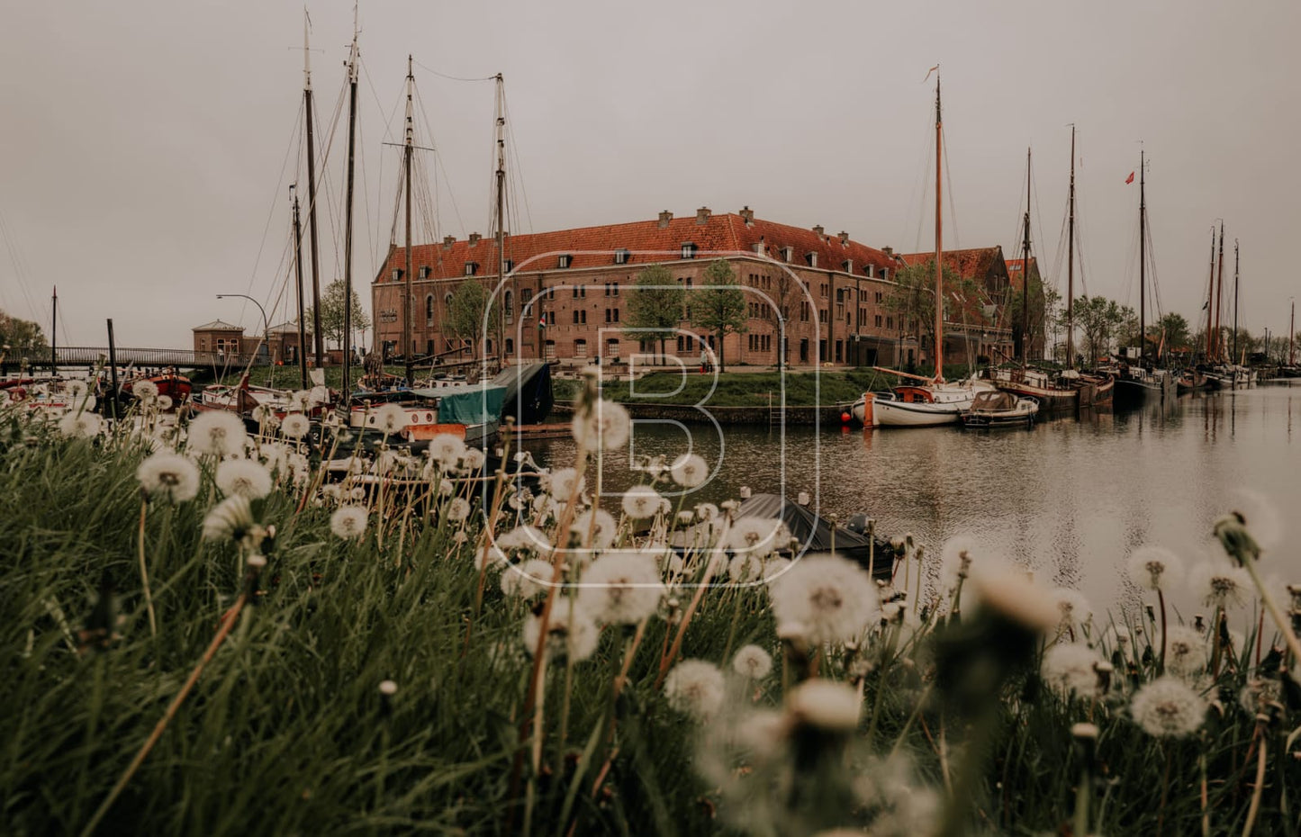 OOSTEREILAND_VEROUDERD_VOORJAAR