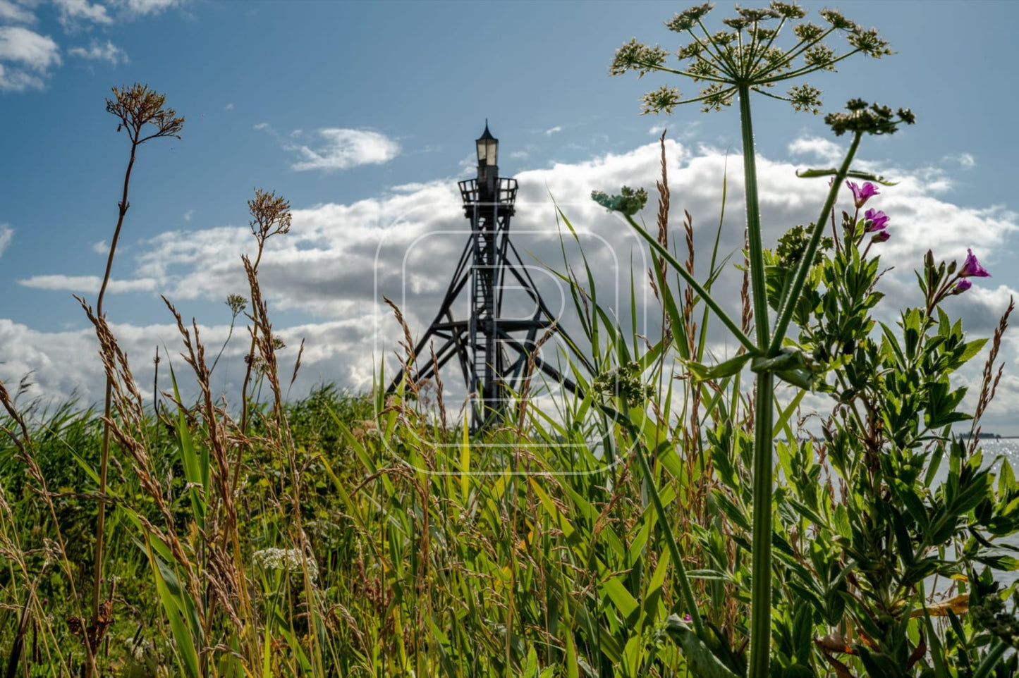 LANDSCHAP_HAVENLICHT