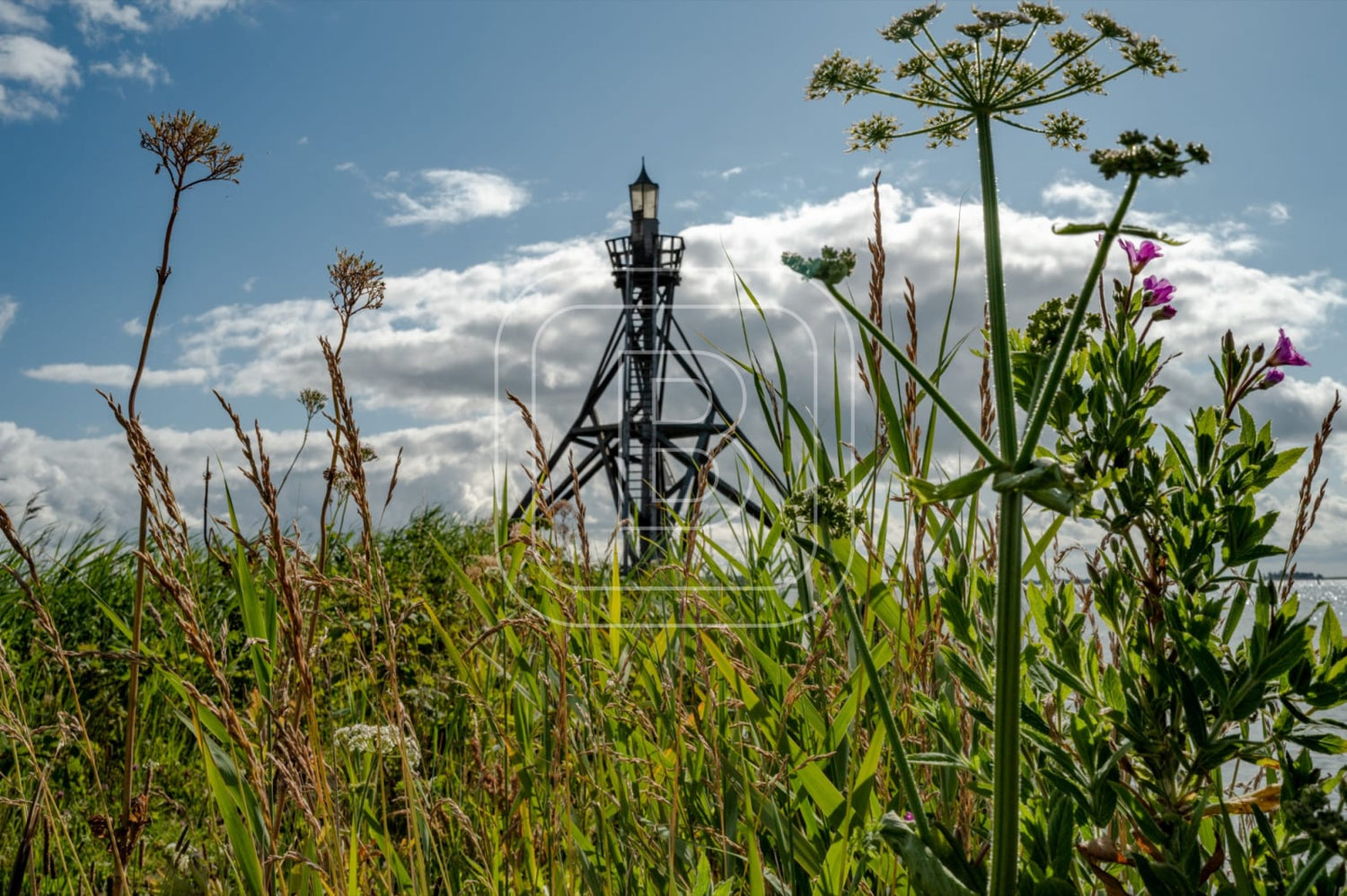 LANDSCHAP_HAVENLICHT