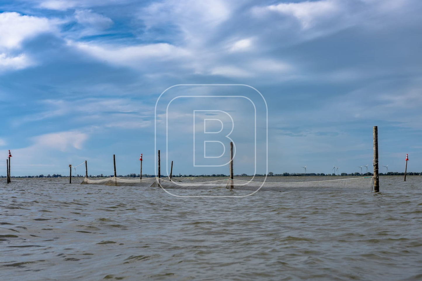 STILLEVEN_KUST