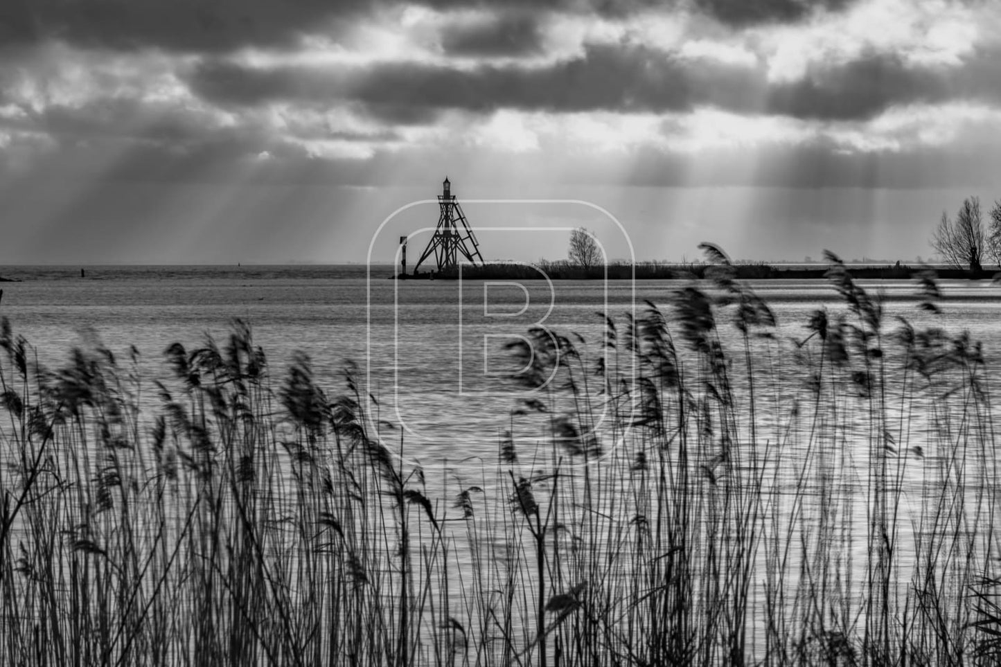 LANDSCHAP_HAVENLICHT