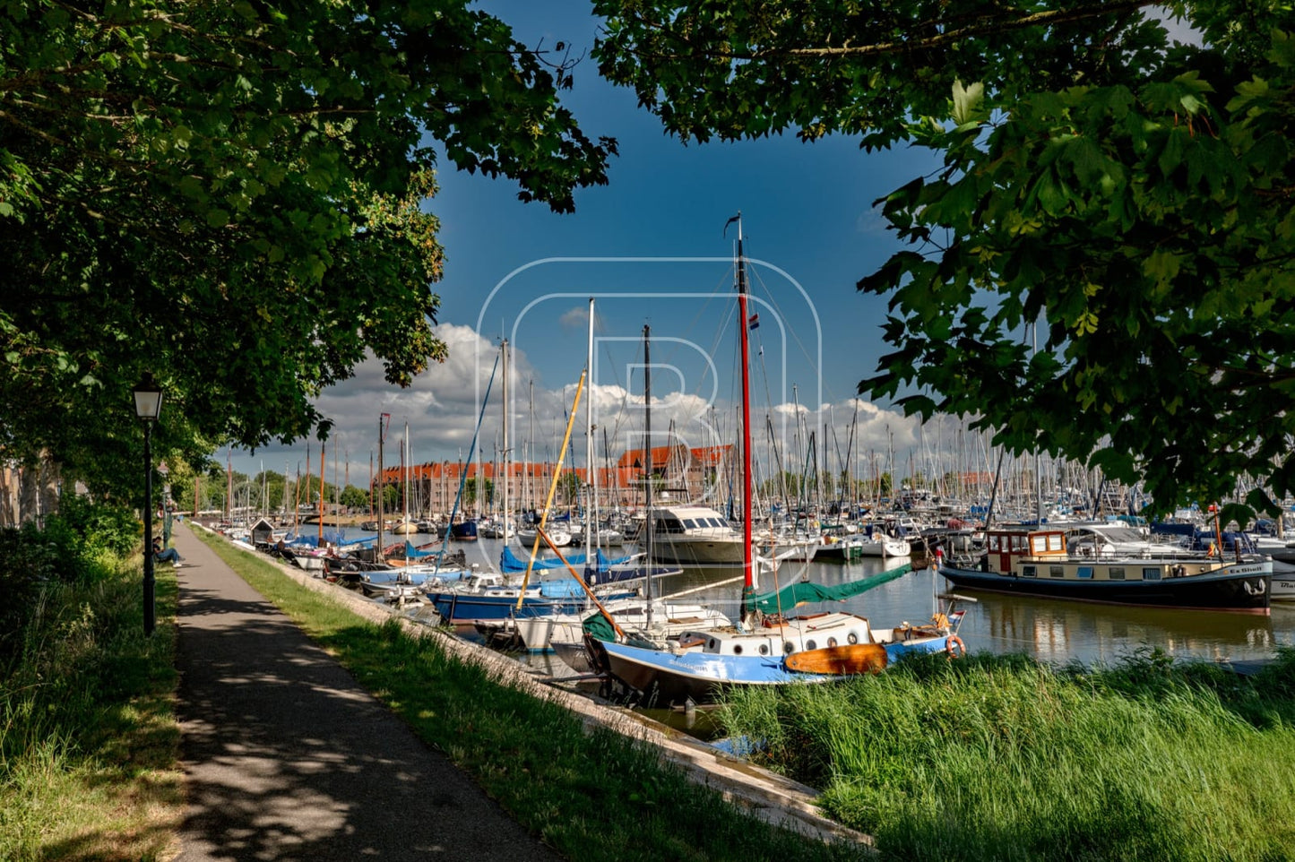 GRASHAVEN_OOSTEREILAND_ZOMER