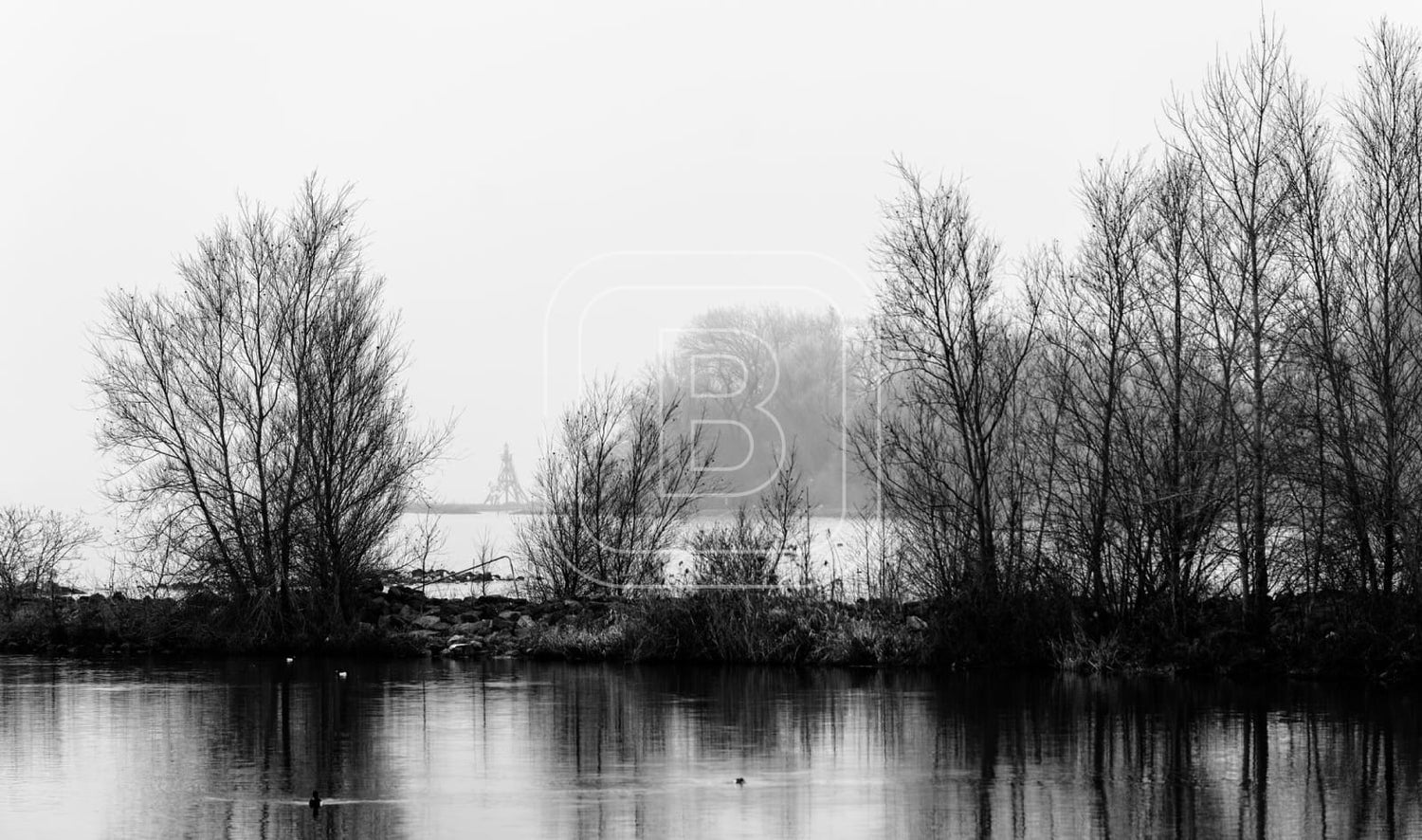 LANDSCHAP_JULIANAPARK