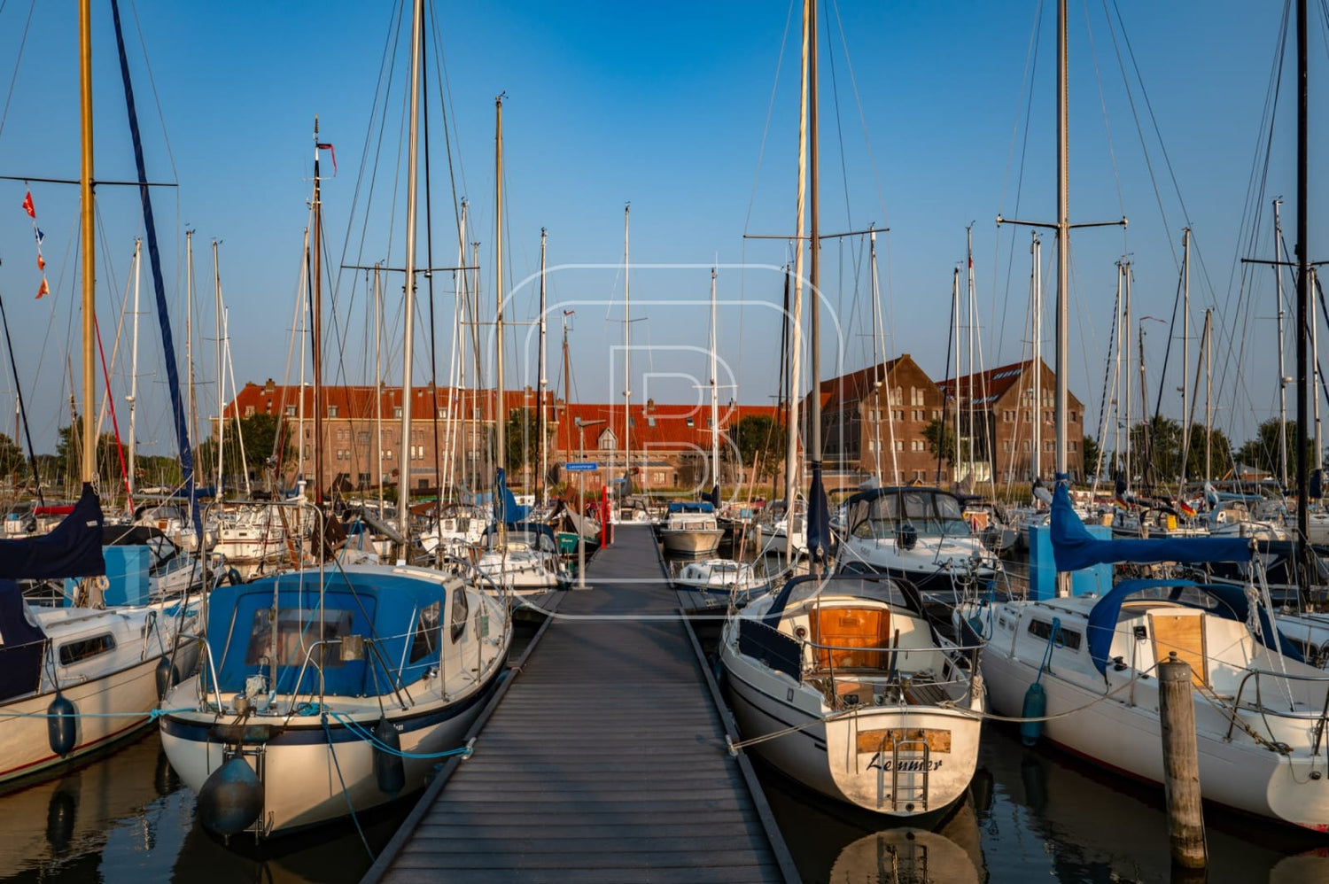 GRASHAVEN_OOSTEREILAND_ZOMER