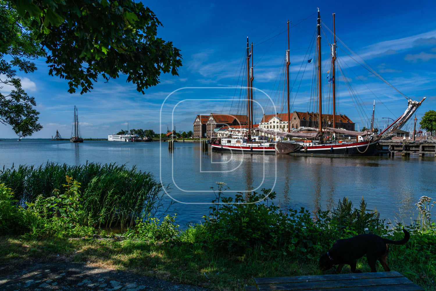 OOSTEREILAND_ZOMER