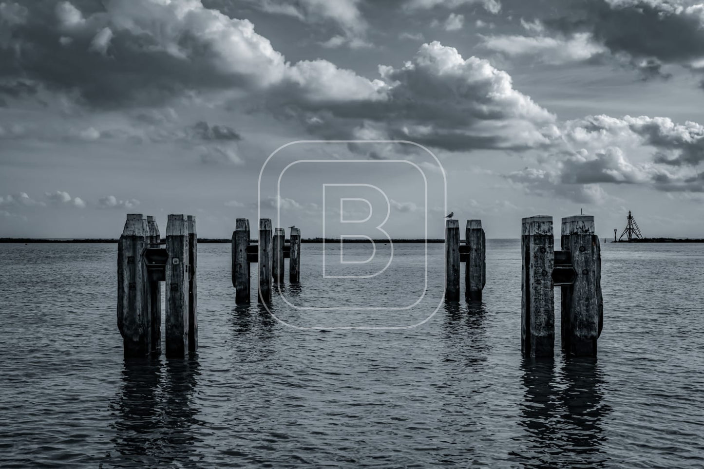 STILLEVEN_KUST