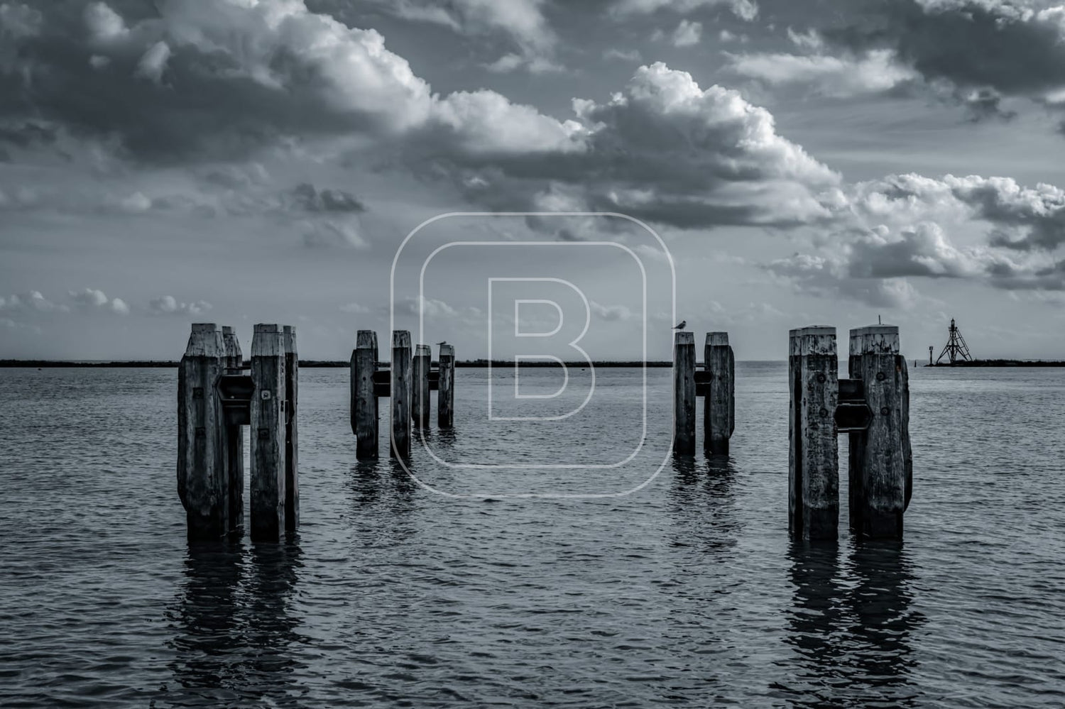 STILLEVEN_KUST