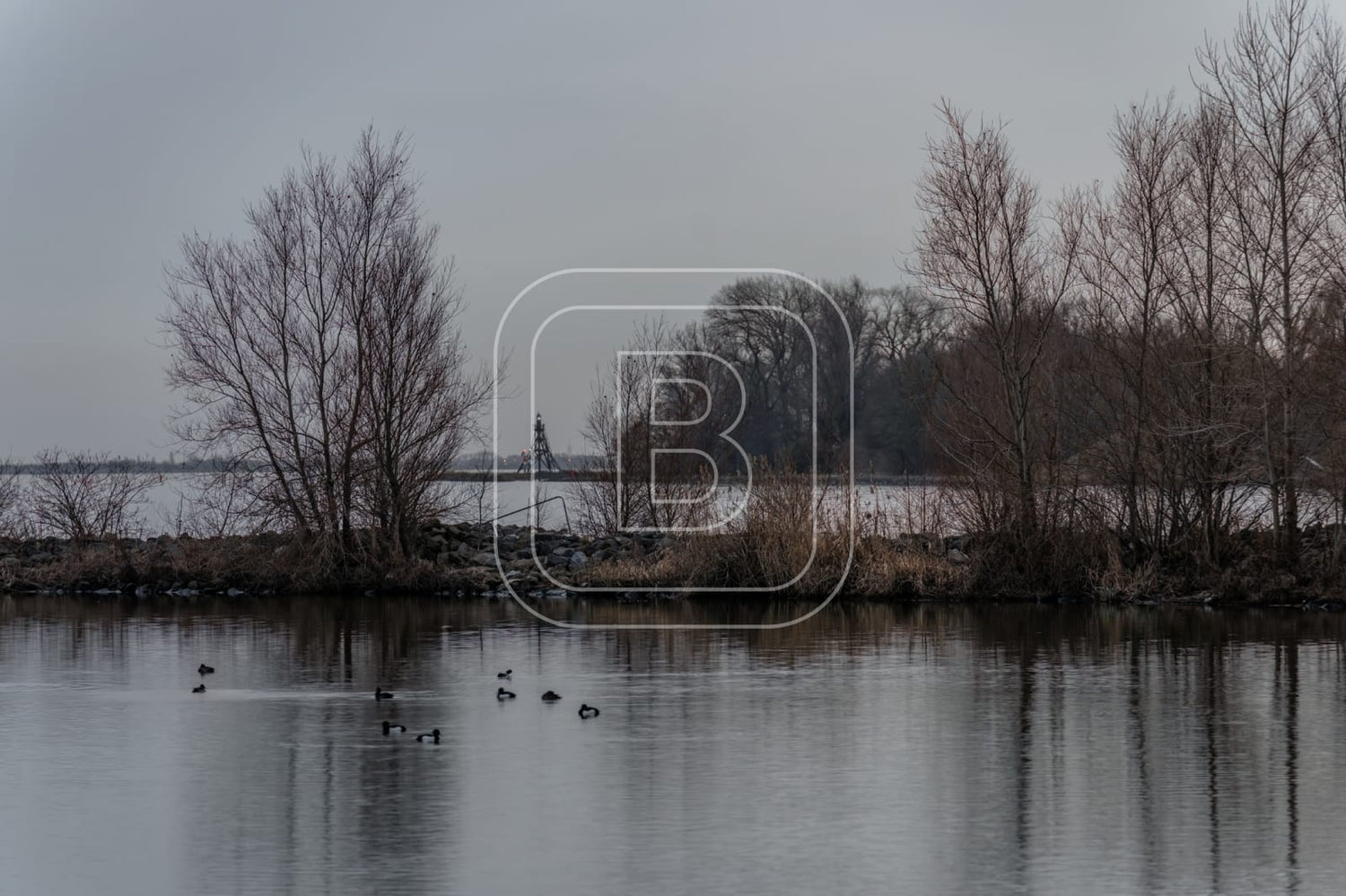 LANDSCHAP_JULIANAPARK