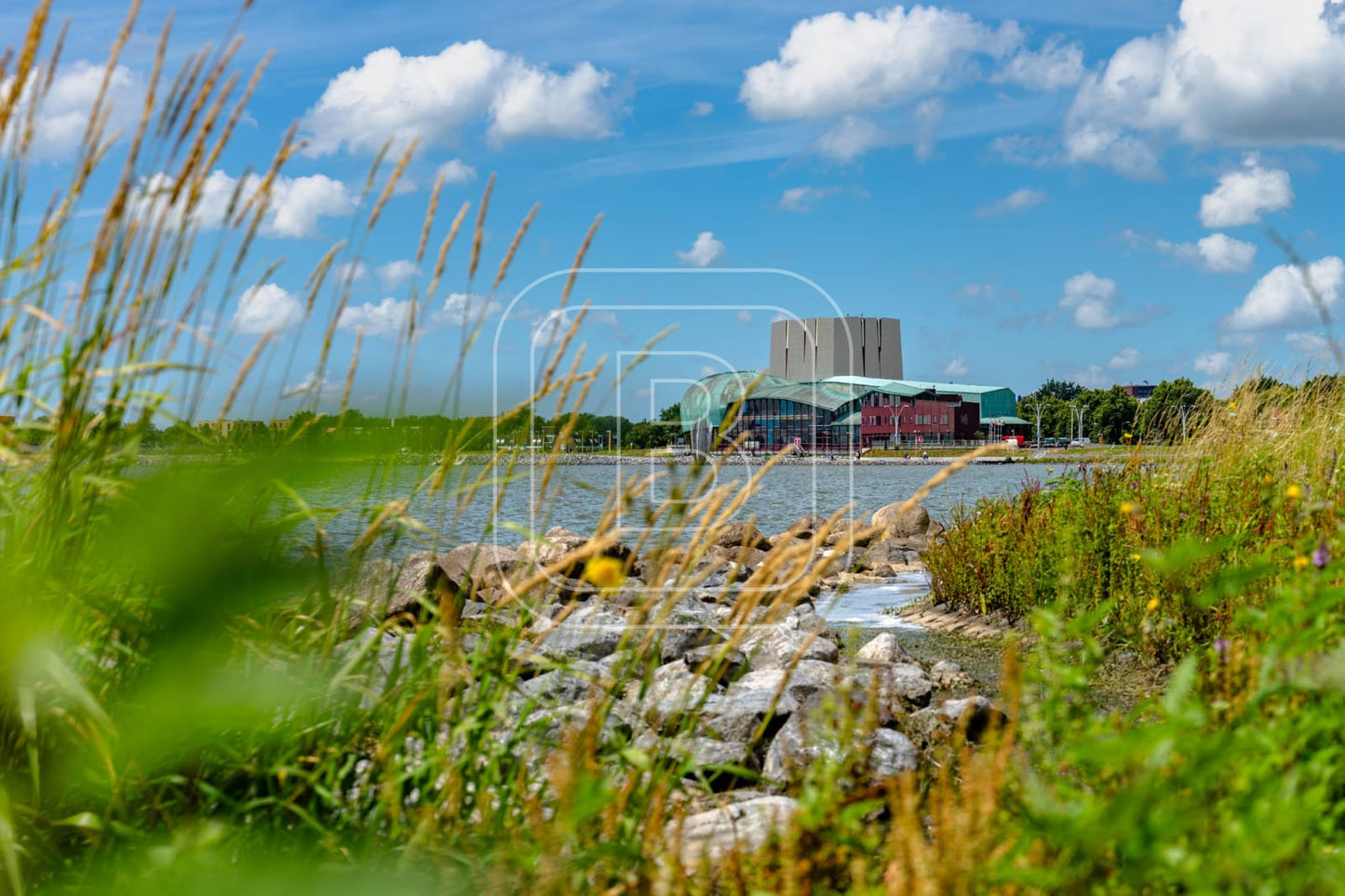 LANDSCHAP_WESTERDIJK_PARK_SCHOUWBURG