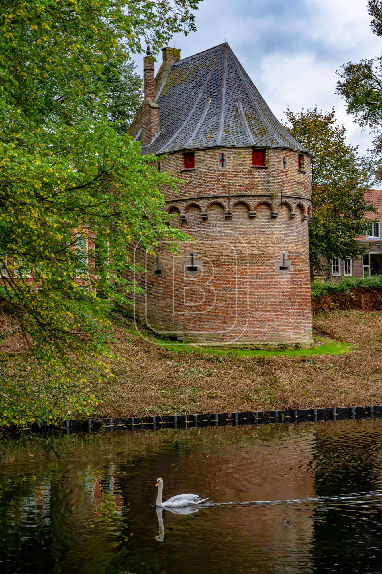 KRUITTOREN_DRAAFSINGEL_HERFST
