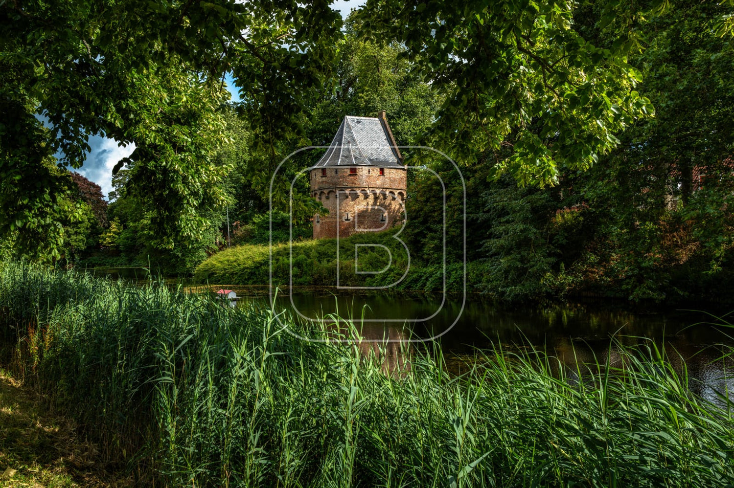 KRUITTOREN_DRAAFSINGEL_ZOMER