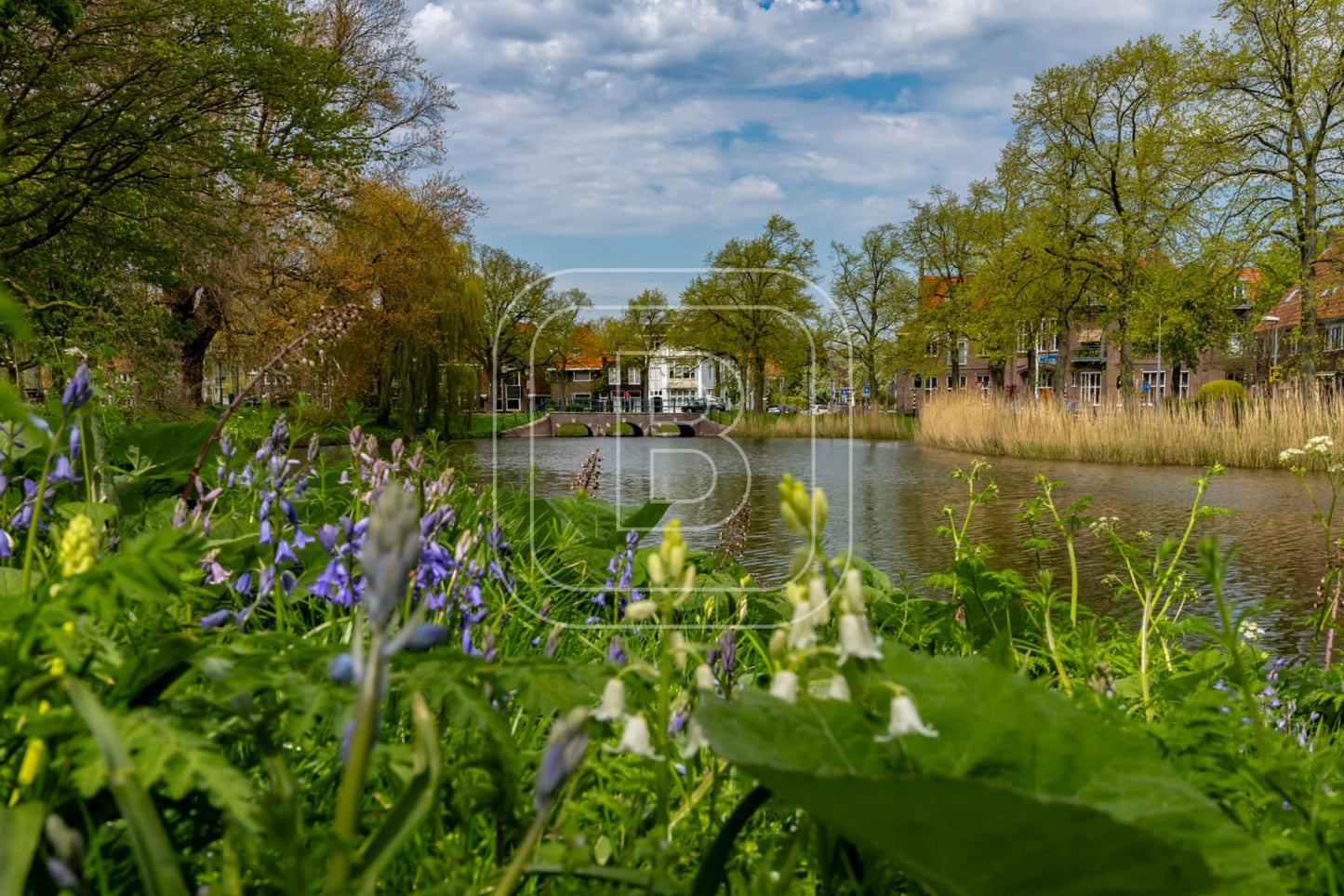 landschap_draafsingel_liggend