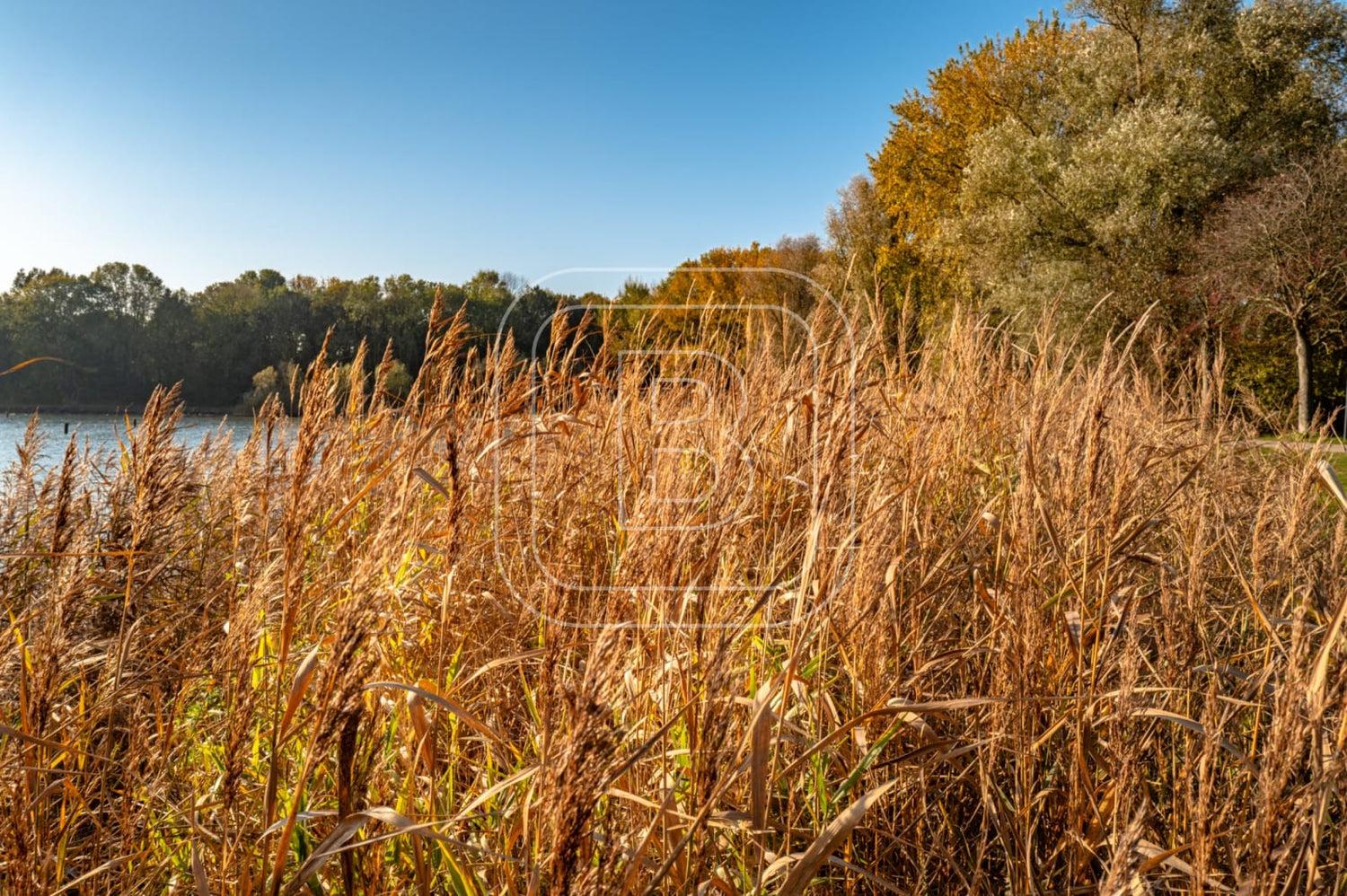 landschap_juliana[ark_liggend