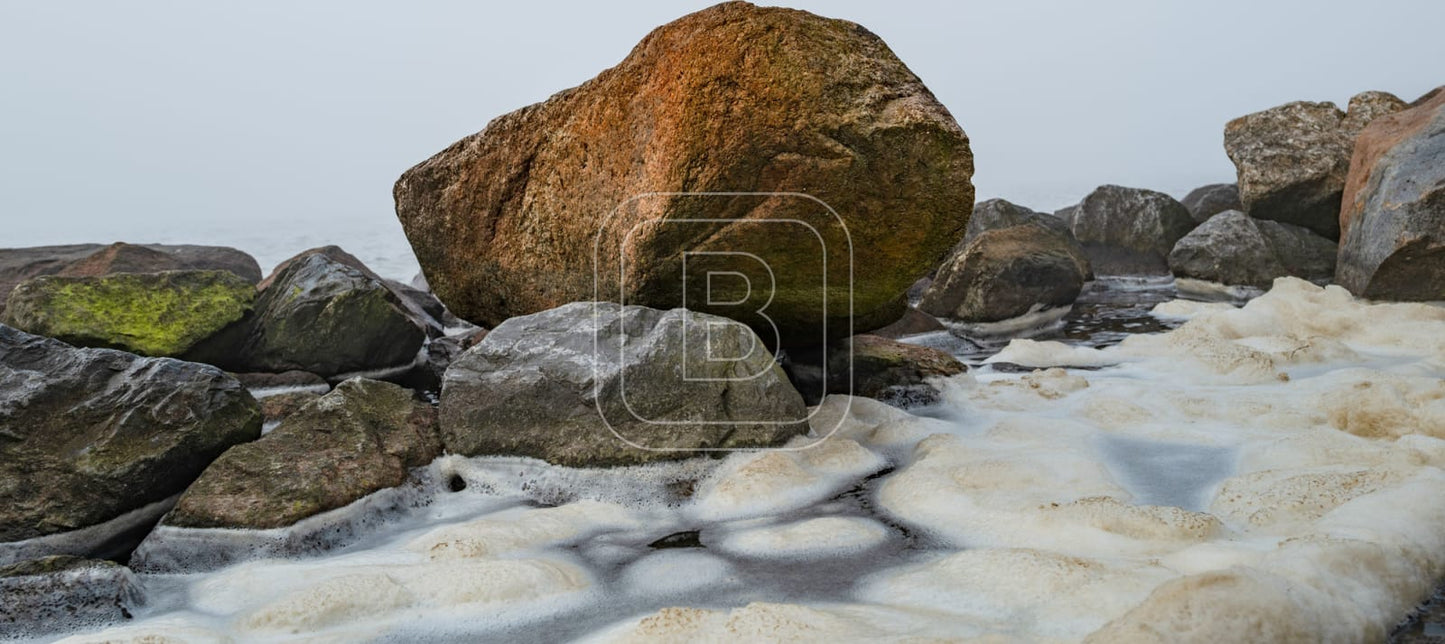 NOORSE_KEIEN_KUST