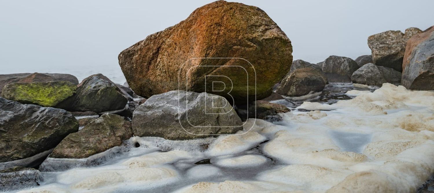 NOORSE_KEIEN_KUST