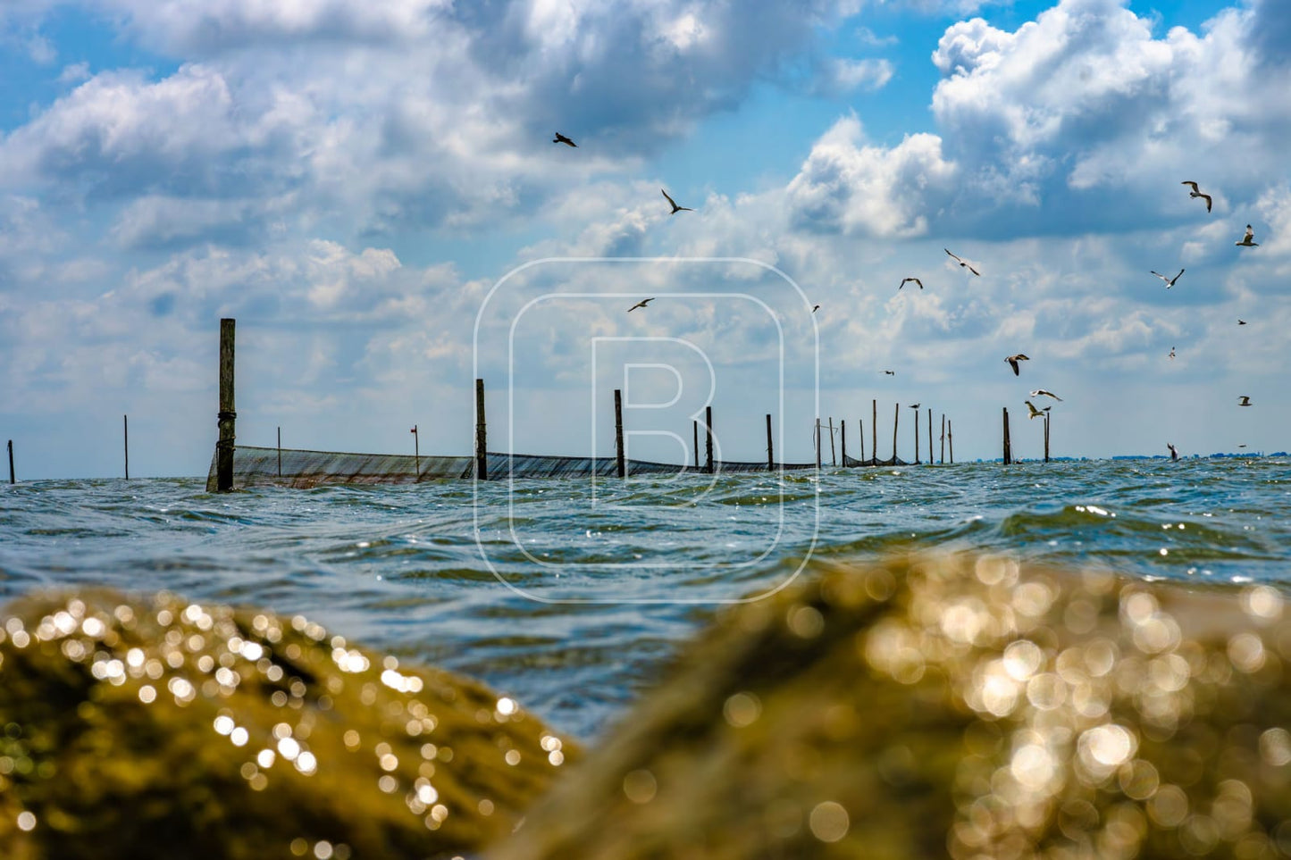 STILLEVEN_KUST