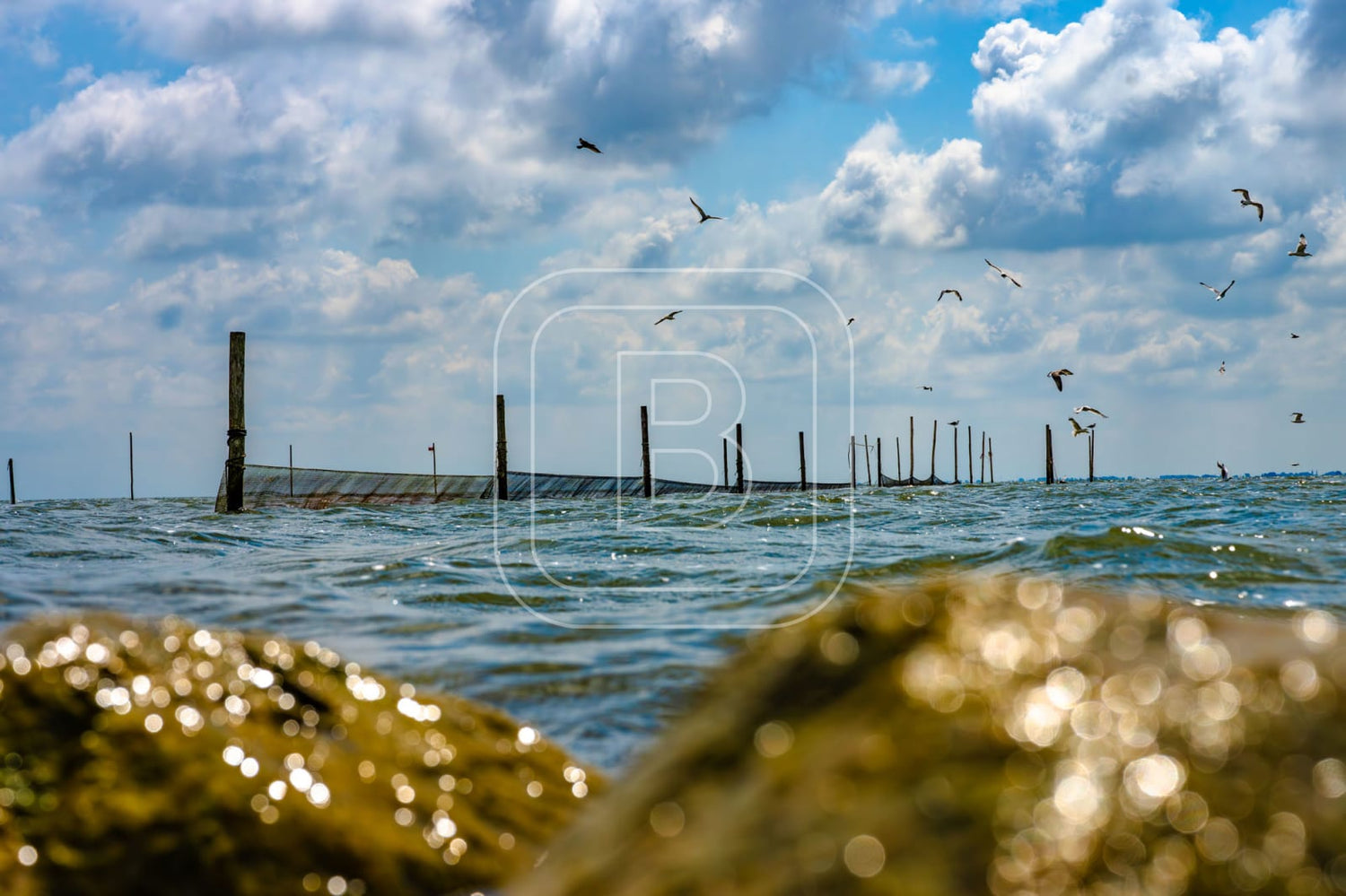 STILLEVEN_KUST
